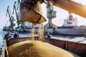 Зерновой совет повысил оценку экспорта пшеницы из РФ на 1,3 млн т